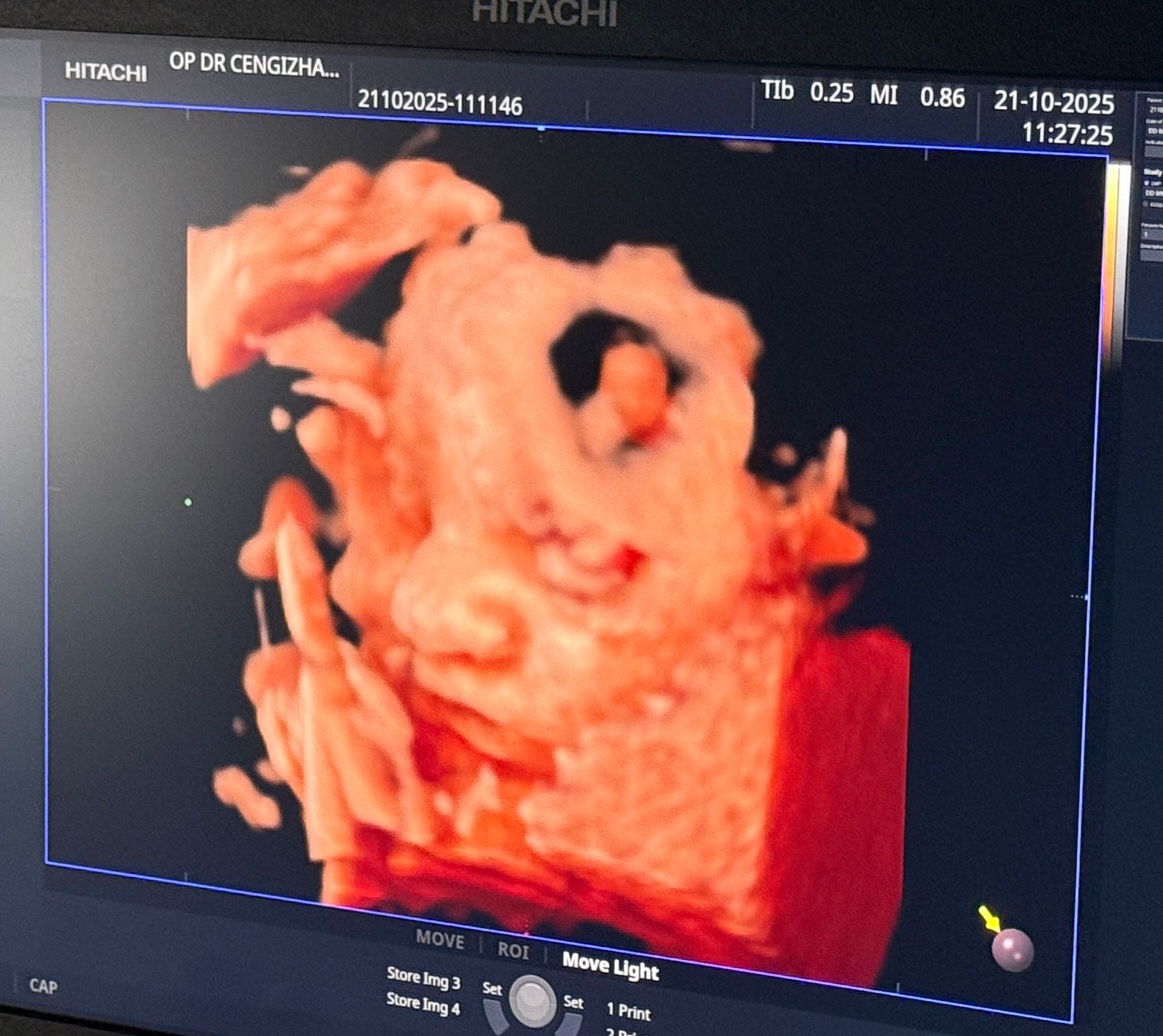 Atahan Çubukcuoğlu